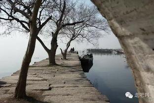 苏州西山爆料事件视频,视频揭露惊人真相