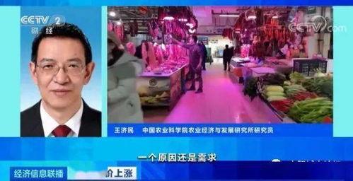 青岛爆料羊贵妃视频下载,揭秘网红羊贵妃的爆红瞬间 第1张 青岛爆料羊贵妃视频下载,揭秘网红羊贵妃的爆红瞬间 第1张